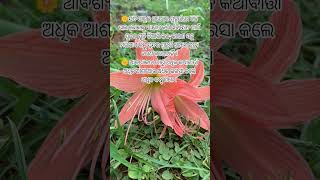 ସ୍ମୃତି କେବେ ମରେନା🫰 #anuchinta #motivation #viral #quotes #viralvideo #odiamovie #ଧଉଳି ଏକ୍ସପ୍ରେସ
