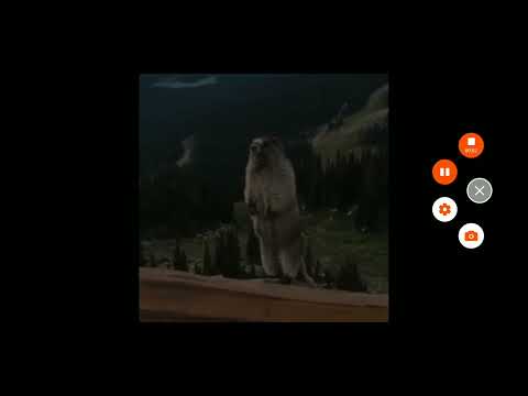 Screaming Gopher Meme