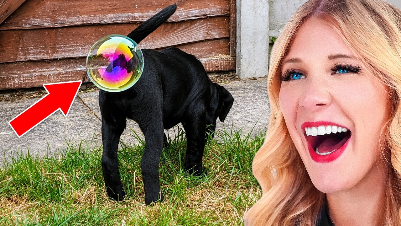World's FUNNIEST Animals!