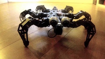 PhantomX mark II phoenix code small demo