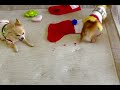 思いっきり あんたやね !!