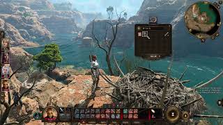 Baldur's Gate 3 - The Harpies Hoard #E48