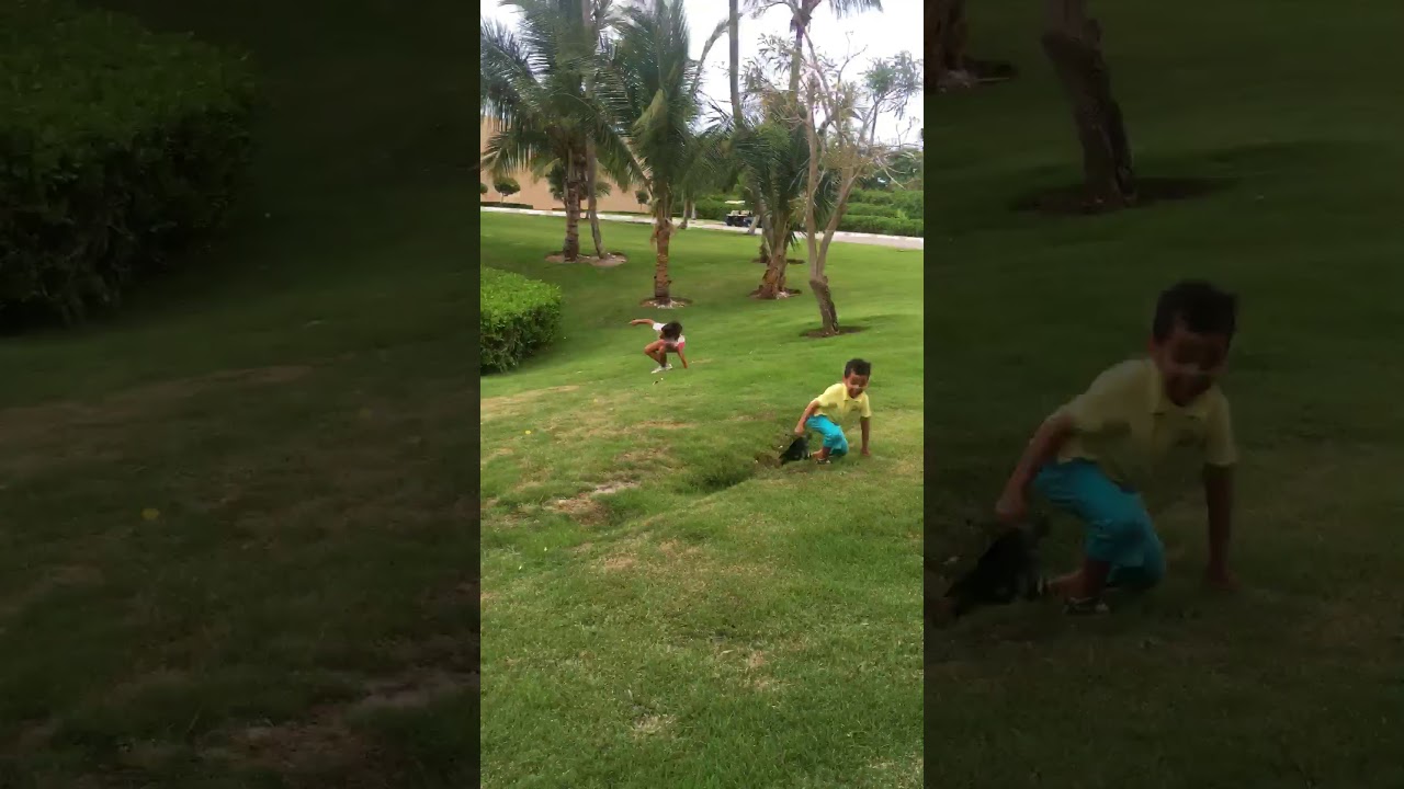 Dando Vueltas sharingbox