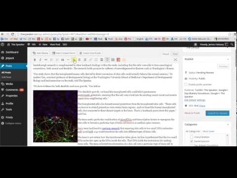 How to Submit With WordPress - PART 2