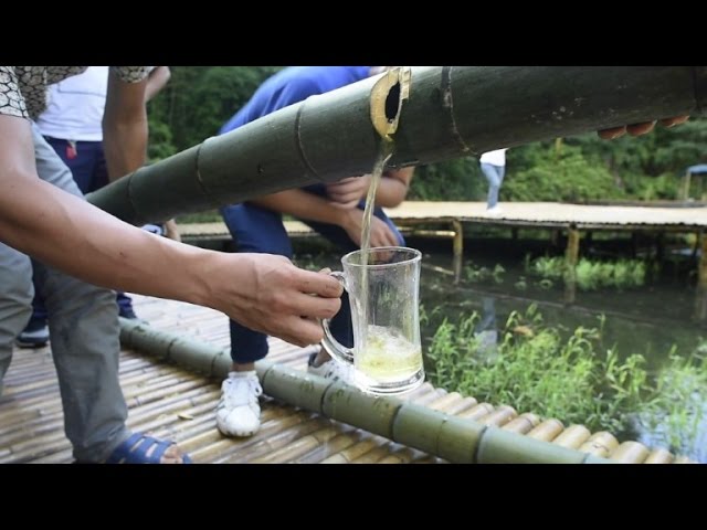 Chinese villagers leave liquor to purify inside bamboo to make alcohol