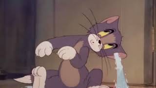 Tom and Jerry Episode 4   Fraidy Cat Part 2