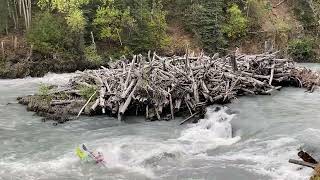 IMG 6781