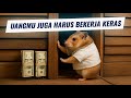 Umpan Hamster: Sudah Punya 3 Penghasilan? Lantas Bagaimana?