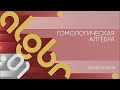 Лекция 1 | Гомологическая алгебра | Юрий Волков | Лекториум