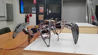 Hexapod Project
