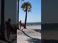 Beach Break! Tarpon Springs, Florida