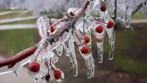 القارئ إدريس أبكر - سورة الفرقان - الآيات {61 - 77}