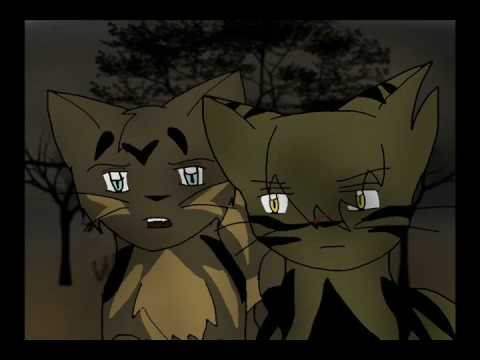 Warriors AMV: Tigerstar and Scourge- Frontline [by Pillar]
