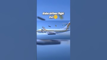 The flight that survived breaking up Midair🤯 #aviation #automobile #edit #crash