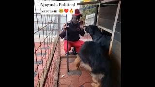Njugush: Political sarcasm 😂❤️🔥 #celebritytea254 #trending #njugushcomedy #mkurugenzi #comedy #funny