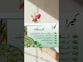 کھیرے کے حیرت انگیز فوائد – صحت اور خوبصورتی کے لیے بہترین