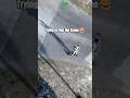 They Tried To Flee The Scene But Failed 😂 #bodycam #cops #police #lawenforcement #sheriff