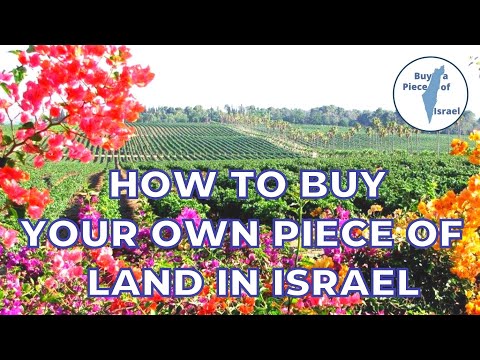 Buy Land In Israel - How To Buy Your Own Piece Of Agricultural Land In Israel