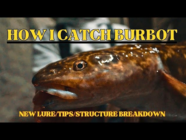 Day 2/3 of Ice Fishing BURBOT- NEW SECRET LURE REVEALED/Structure Breakdown  
