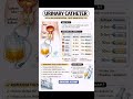 Urinary Catheter| Uses Of Catheter catheter size and balloon inflation Must Know Nclex #nclexprep