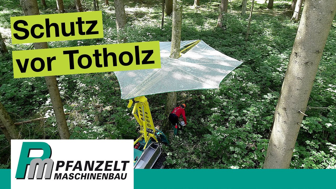 Effektiver Schutz vor Verletzungen durch Totholz – Personen Schutzschirm der Forstraupe Moritz