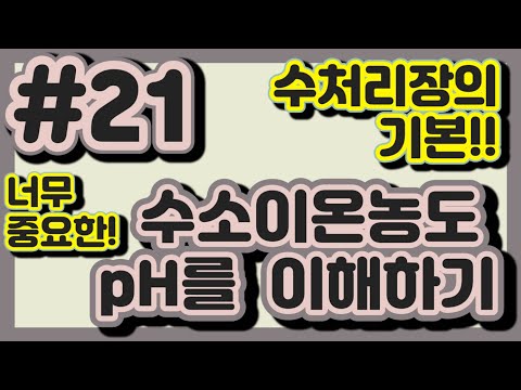 #21.  수소이온농도 pH를 이해하기