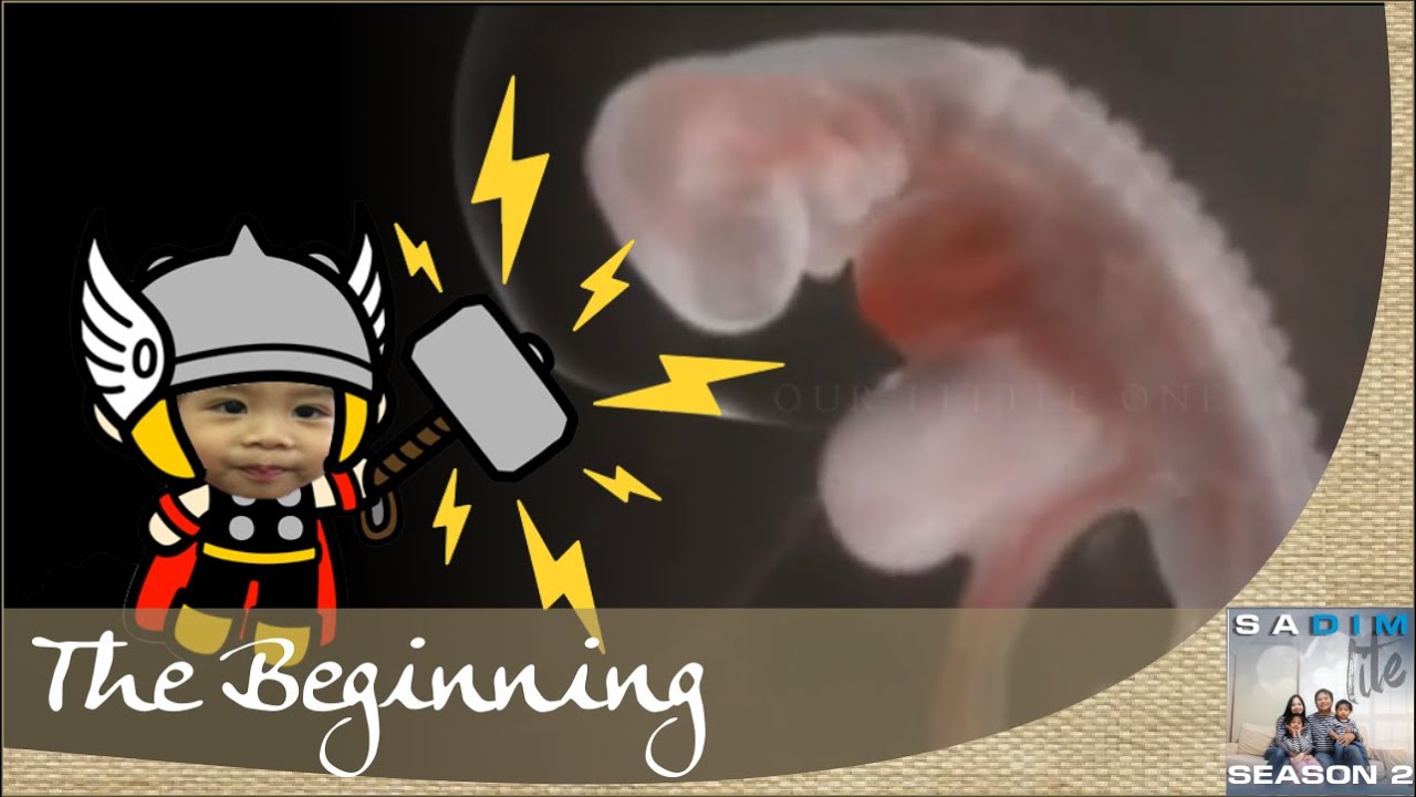 Mission: Kenzodorable (The Beginning) │  ケンゾーくんの始まり │ Sadim Lite