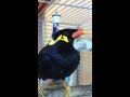 あべちゃん:だらだらしゃべってみた