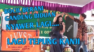 BOCIL BERANI GANDENG & SAWER BIDUAN LAGU TEPUNG KANJI