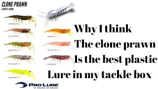 The best plastic lure you should have in your tackle box / Prolure Clone Prawn