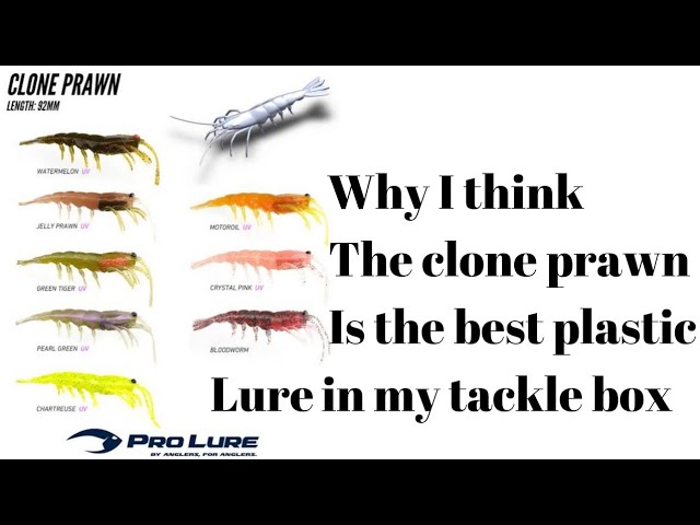 The best plastic lure you should have in your tackle box / Prolure Clone  Prawn 