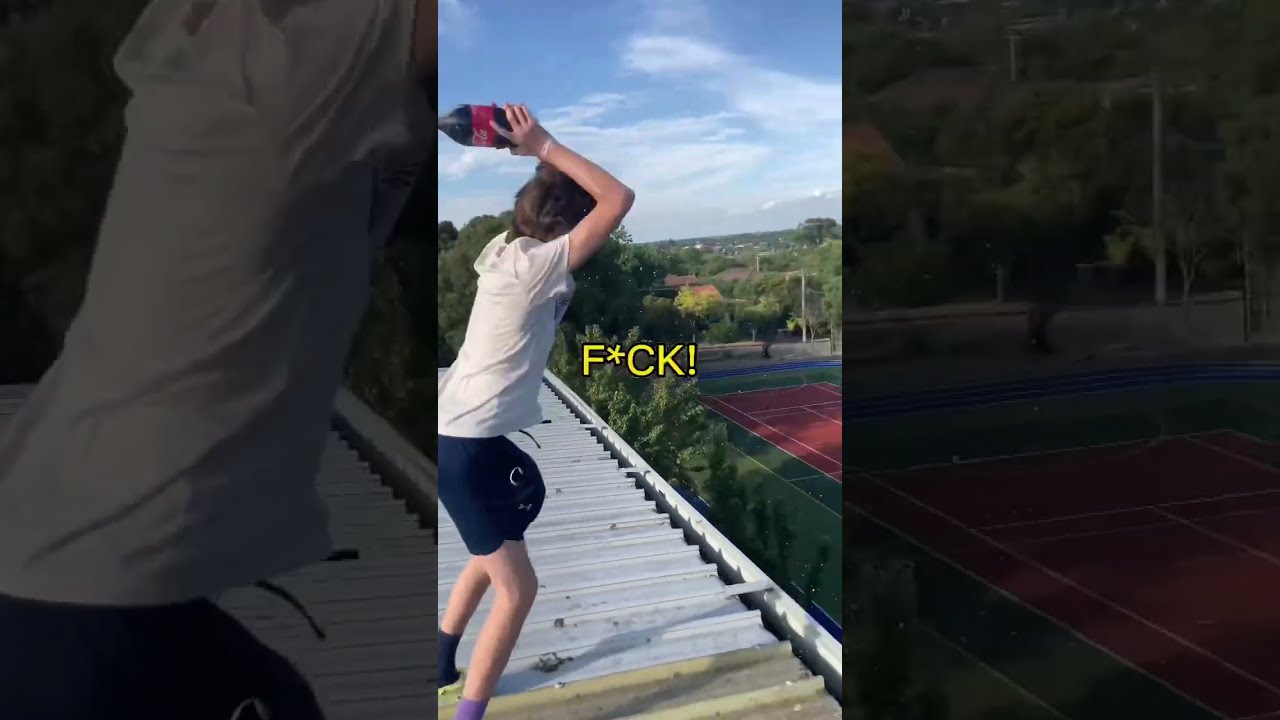 Will It Rocket Roof Edition Shorts
