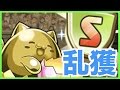 遅延たまドラ乱獲用劉備2PT！【パズドラ】特殊降臨ラッシュ周回編成解説