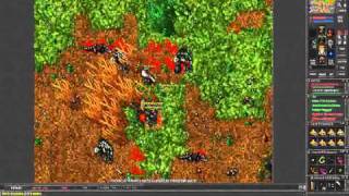 Tibia solera  Skywoka