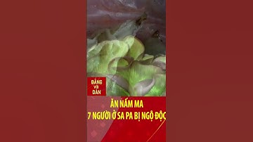 Ăn nấm ma, 7 người ở Sa Pa bị ngộ độc #shorts