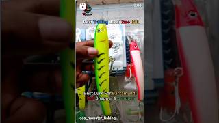 Best lure for snapper, grouper, barramundi, king fish barracuda #barracudafish #baitfishing #fishing