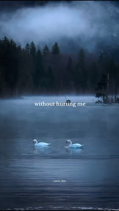 Cinnamon Girl - Lana Del Rey | English lyric Status | Aesthetic Status | Lyric Era #aestheic #music