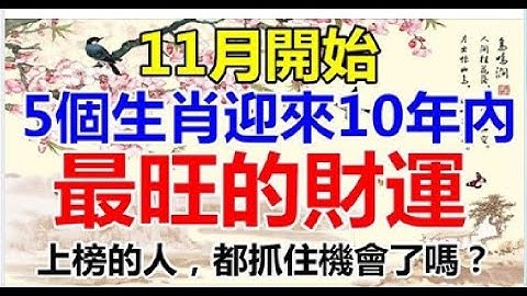 11月起，这5个生肖的人，迎来10年内最旺的财运，你抓住了吗？| 星座生肖 - 天天要闻