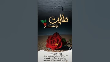 القرآن الكريم ربيع القلوب يسعد صباحكم بكل خير اللهم صلي على محمد وال محمد