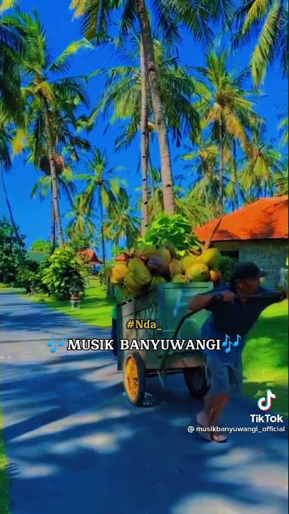 story wa musik banyuwangi