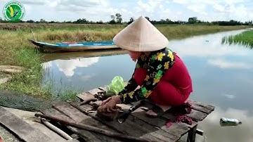 QUẢN LÝ THỨC ĂN TÔM CÀNG XANH