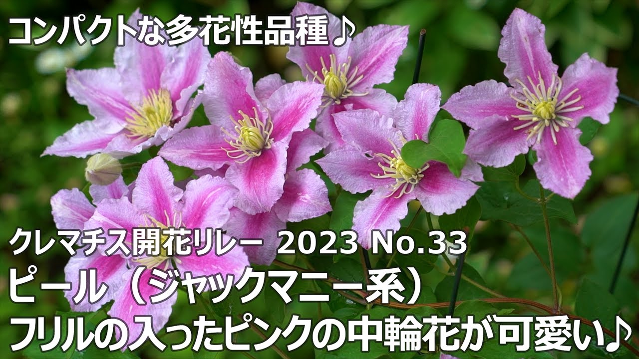 花。 エポック社のジグソーパズルに「花屋さんのお花柄」を提供 フラワー