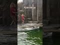 Представление от морских котиков зоопарк Прага. Zoo Praha 2023.