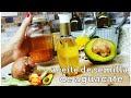 Como hacer aceite de semilla de aguacate usos y beneficios