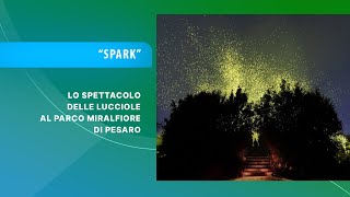 SPARK - SPETTACOLO DI LUCI AL PARCO MIRALFIORE