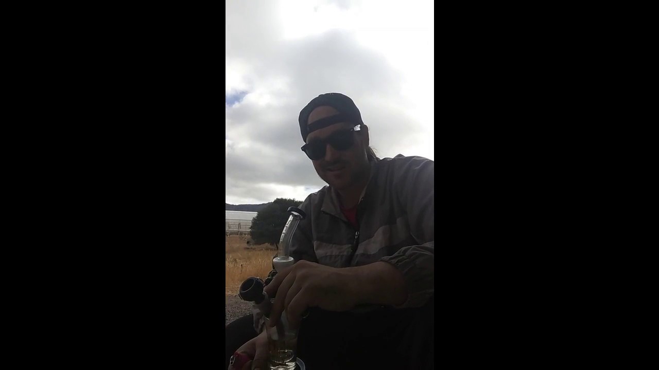 Hit of the Day with Danny Kush: Sci-Fi Glass Sangria Flower- Grow with the Best