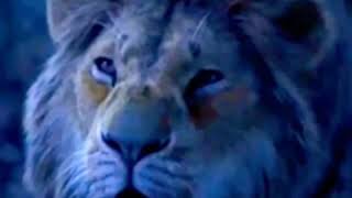 The Lion King 2019 Simbas Roar