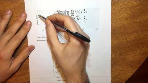 STAT 113 Correlation