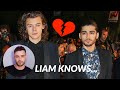 Liam Payne Knew About Zayn and Harry Styles (Unseen)