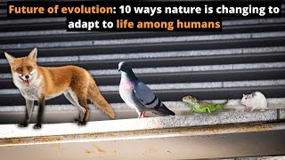 Future of evolution: 10 ways nature is changing to adapt to life among humans